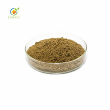 Top Quality Panax Ginseng Extract Powder Ginsenosides